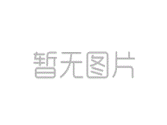 好方法旅行| XI Jinping的2025年俄罗斯之旅的完整桌